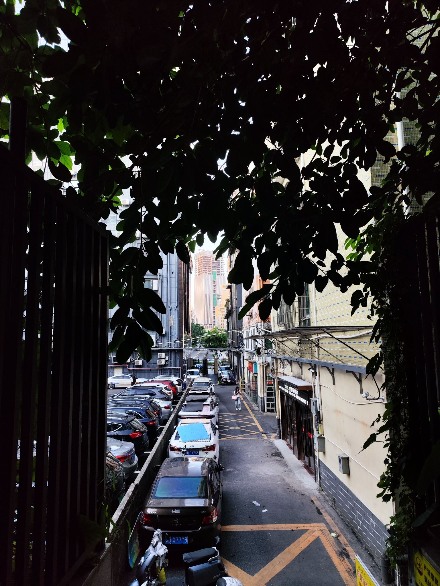 弓村社区公园旅行图片 2