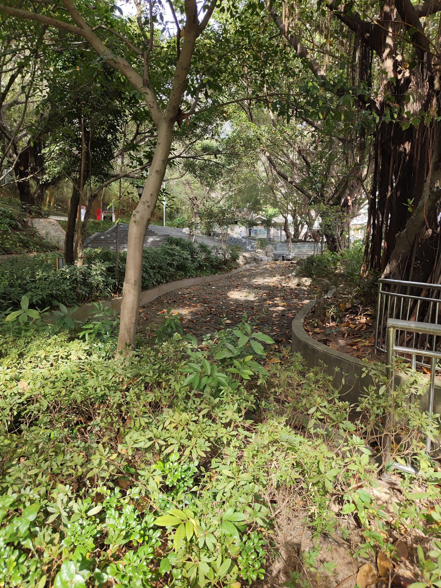 弓村社区公园旅行图片 3