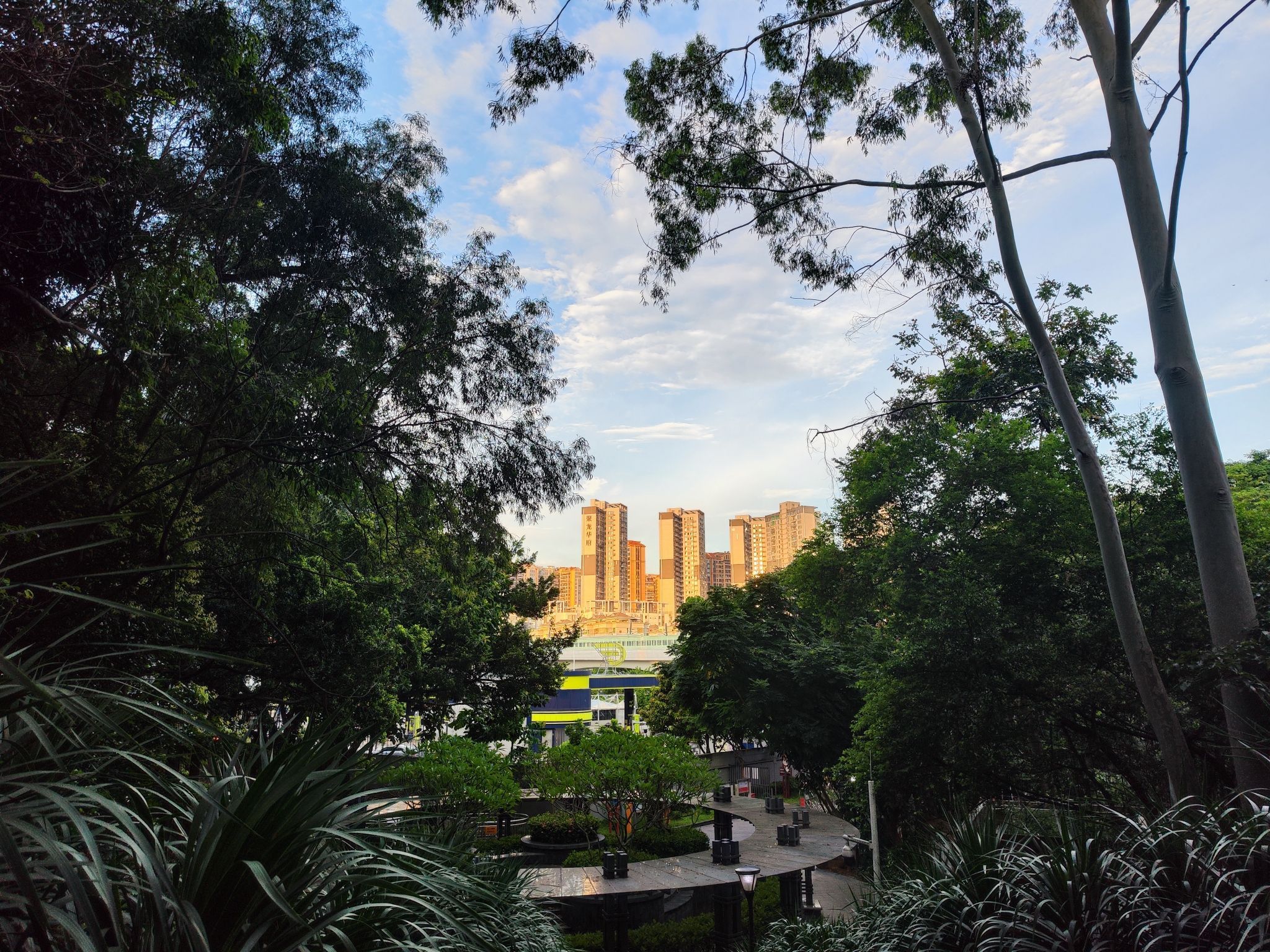 弓村社区公园旅行图片 1