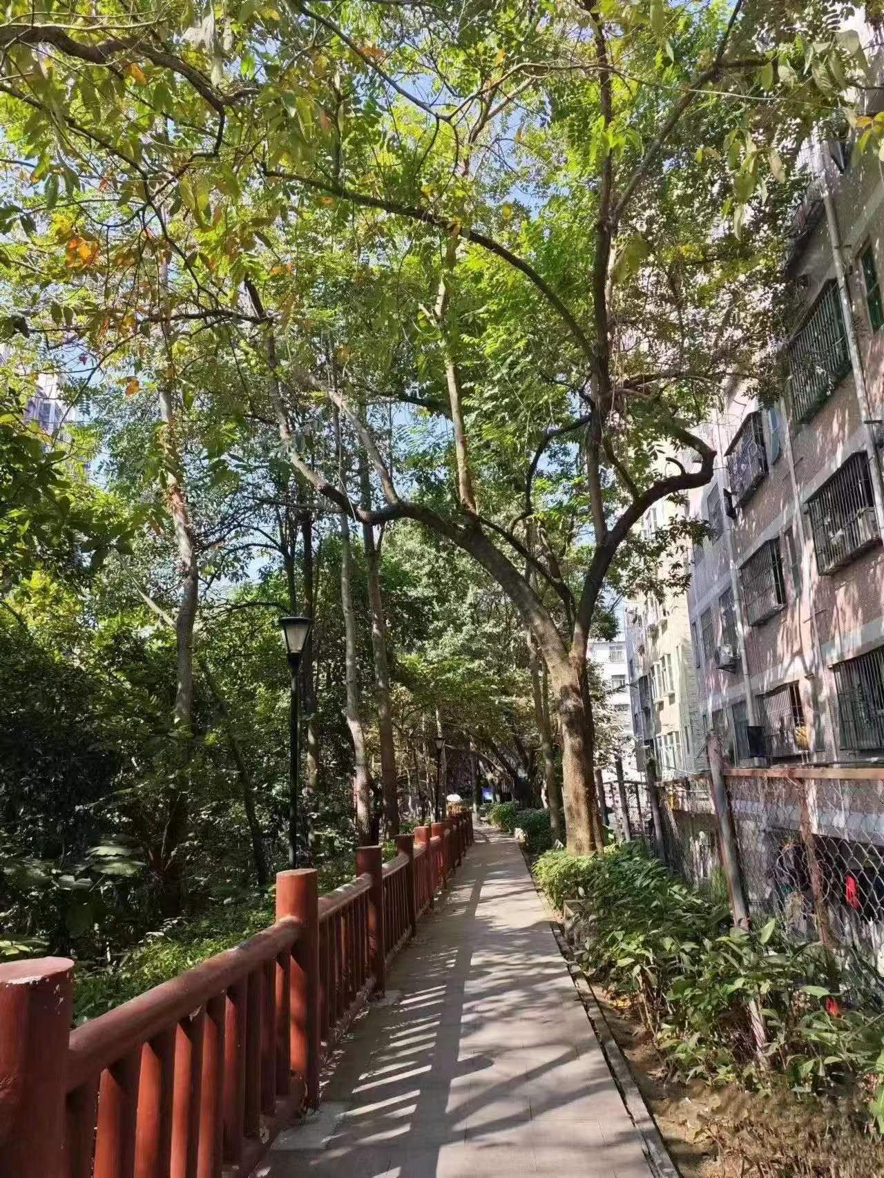 弓村社区公园旅行图片 3