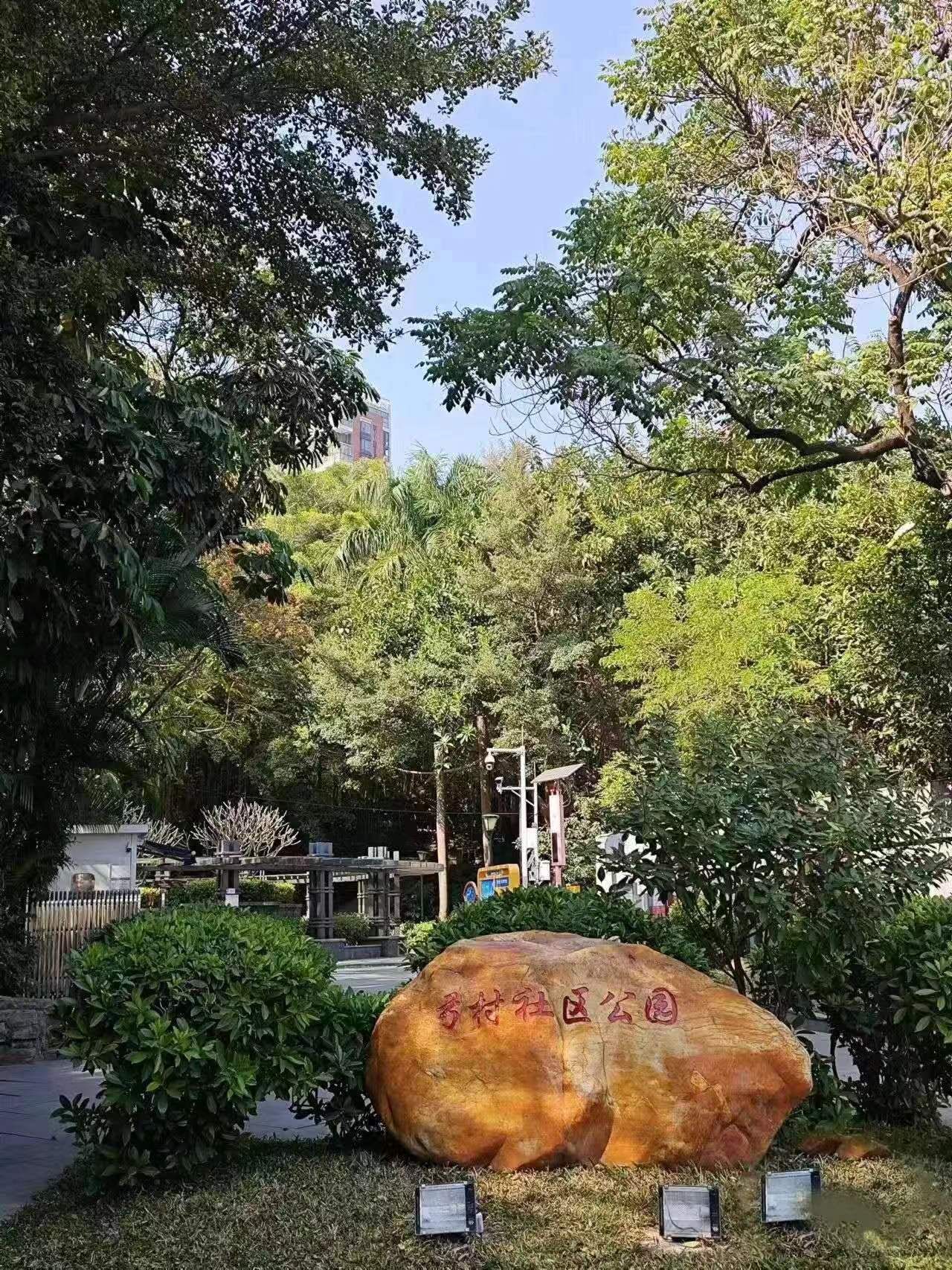 弓村社区公园旅行图片 2