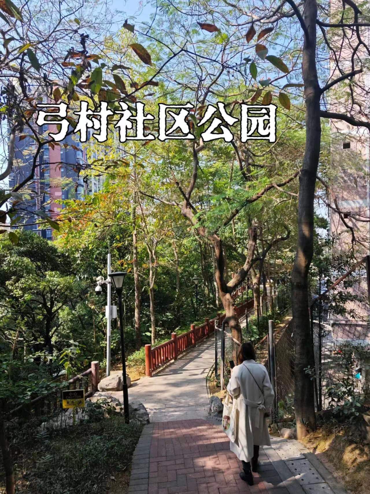 弓村社区公园旅行图片 1