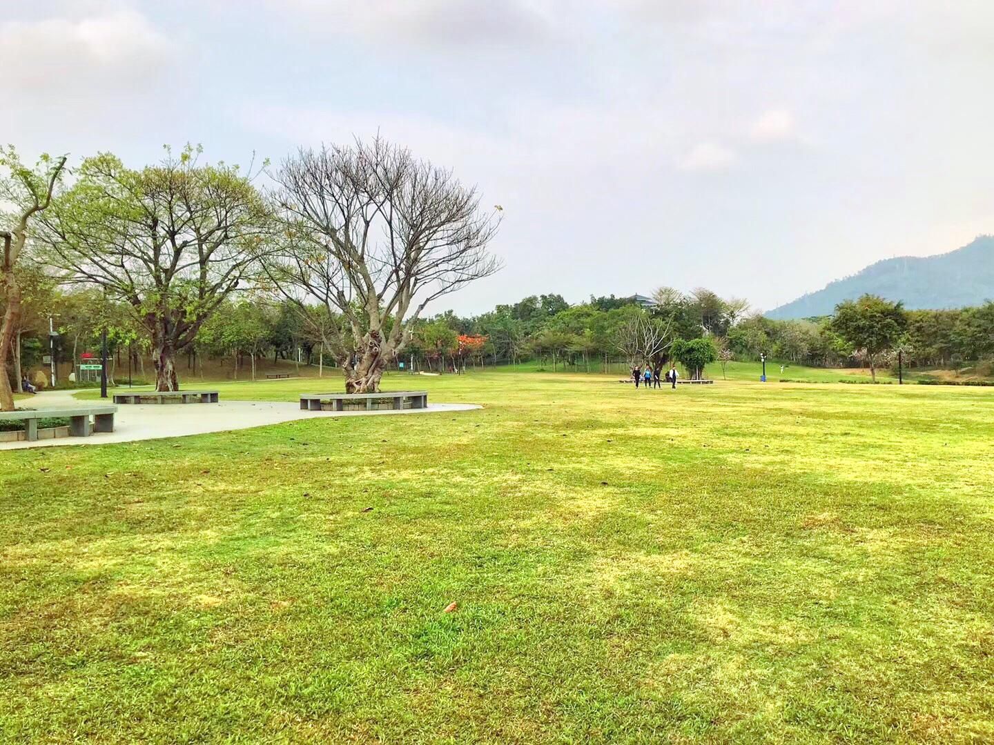 松坪山公园旅行图片 2