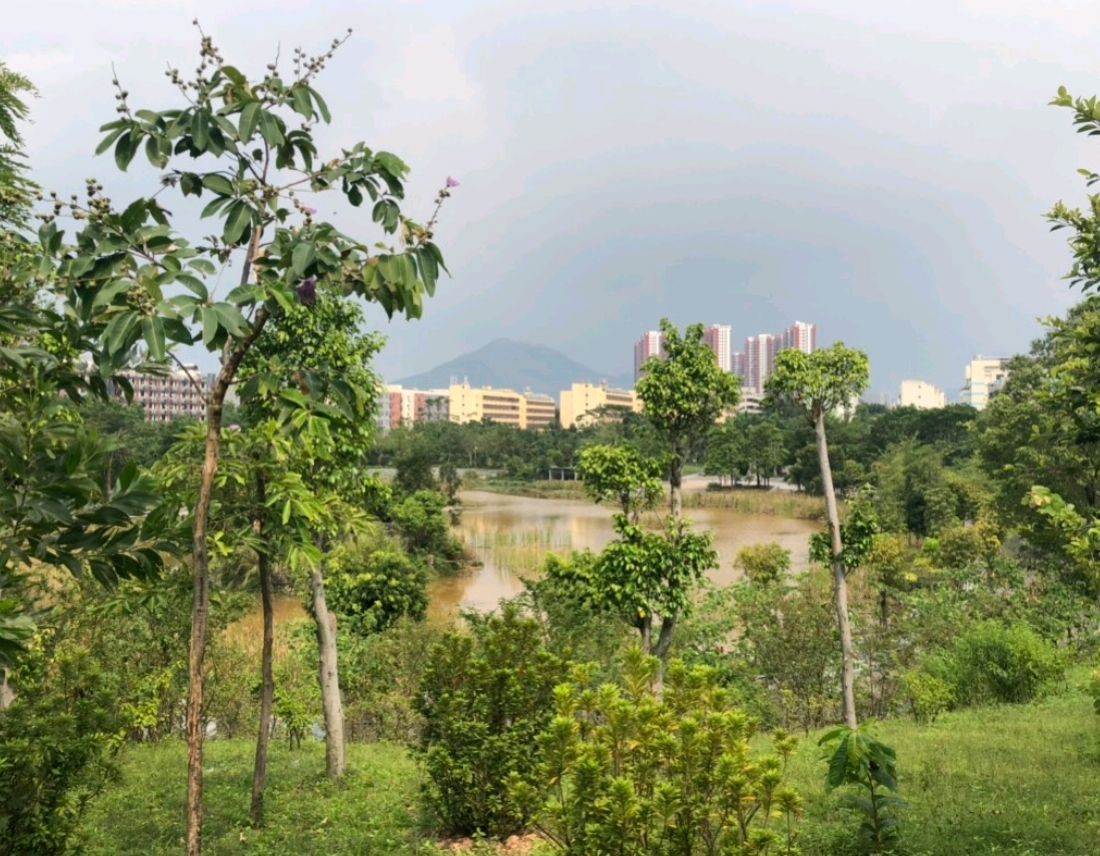 松坪山公园旅行图片 2