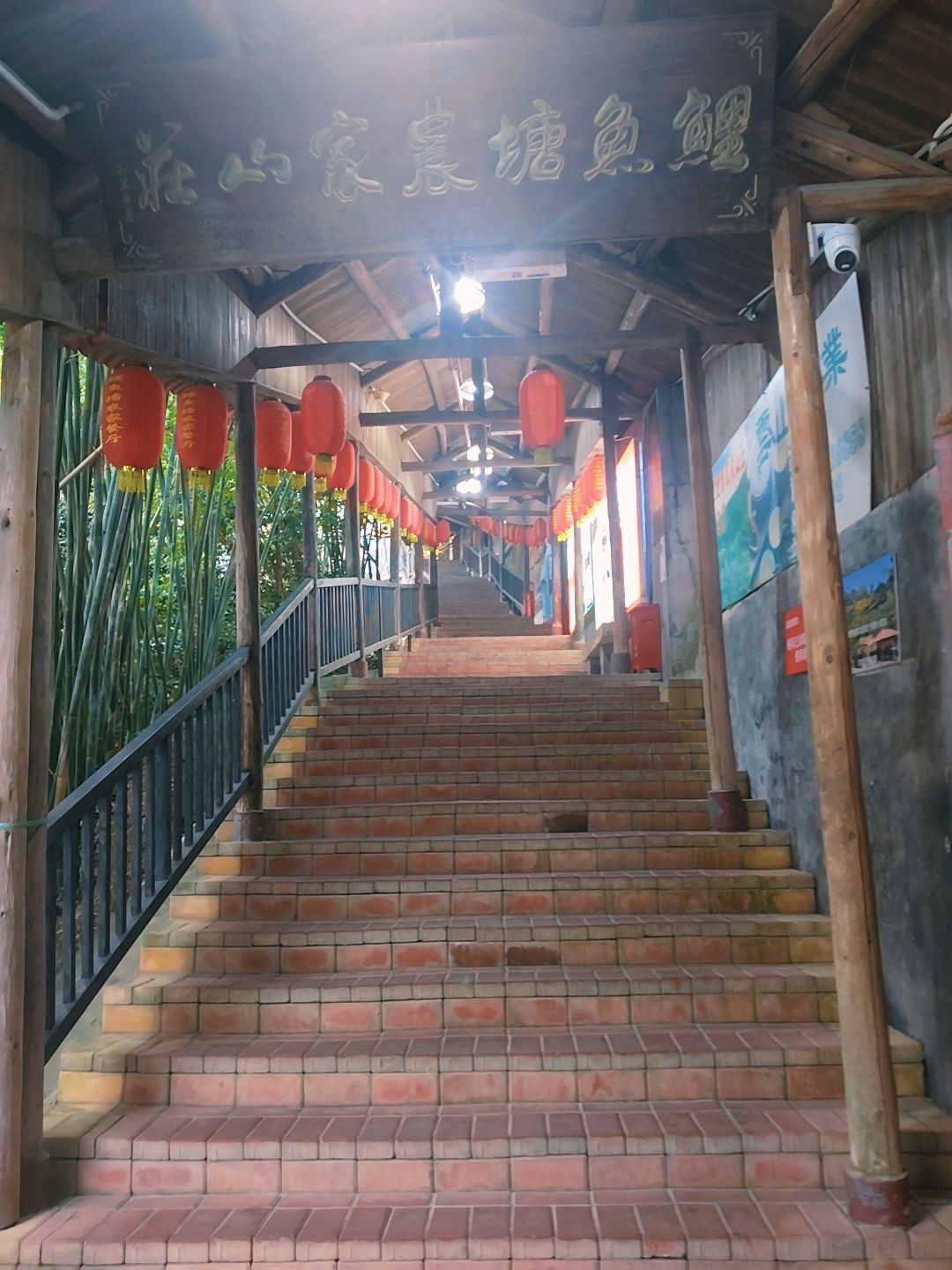 鲤鱼塘农家山庄