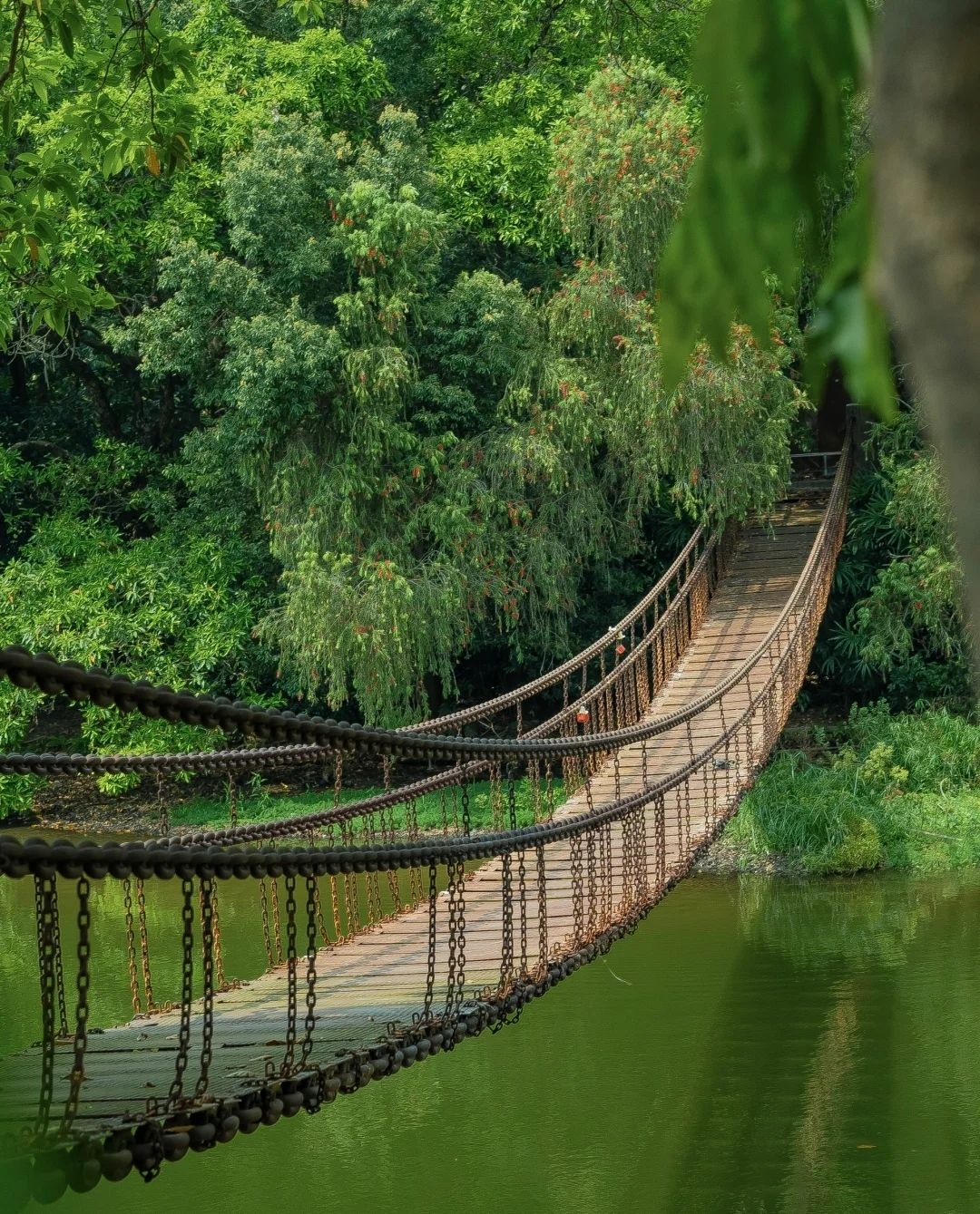 东湖公园-钓鱼区