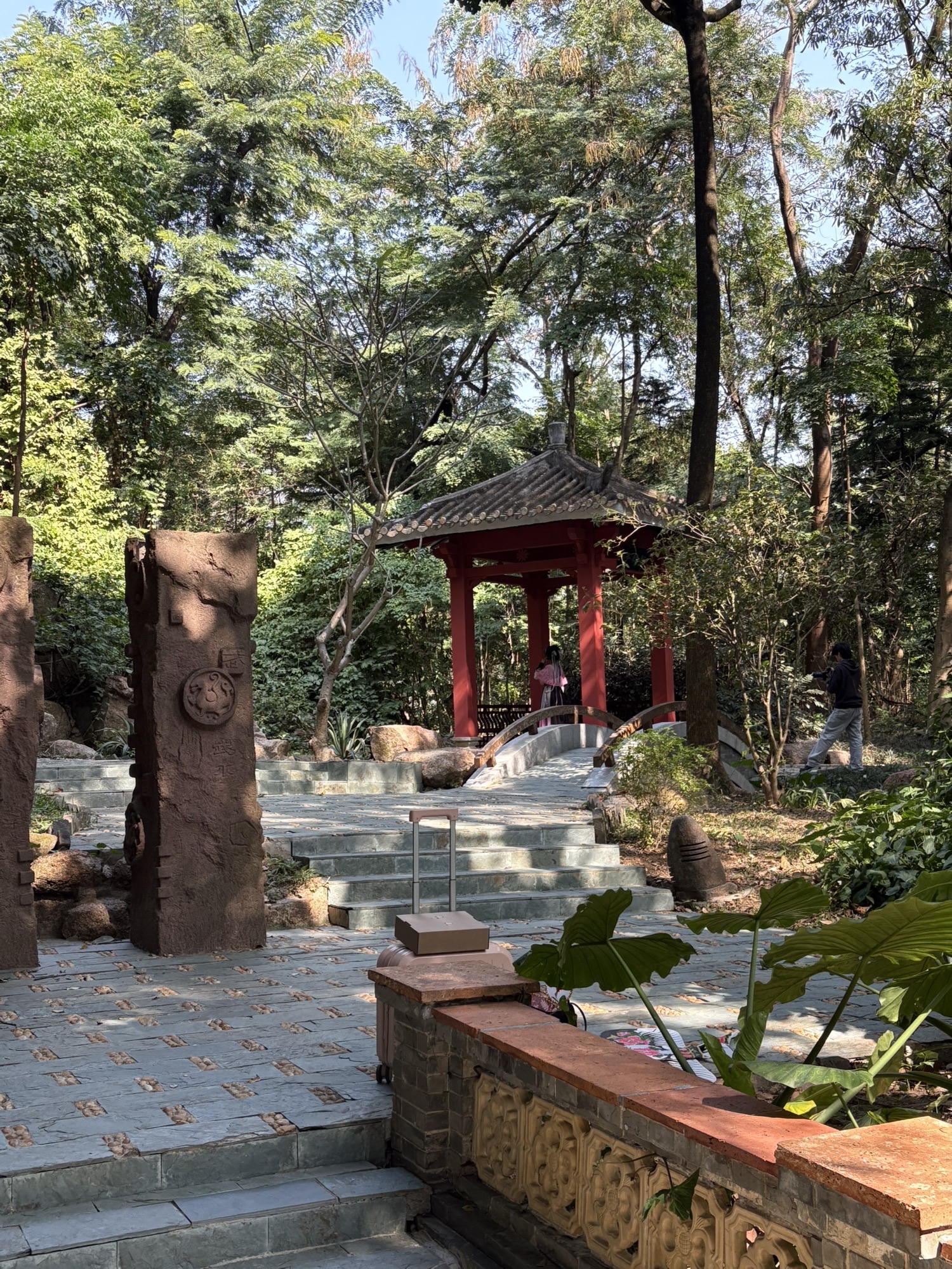 深圳国际园林花卉博览园旅行图片 3