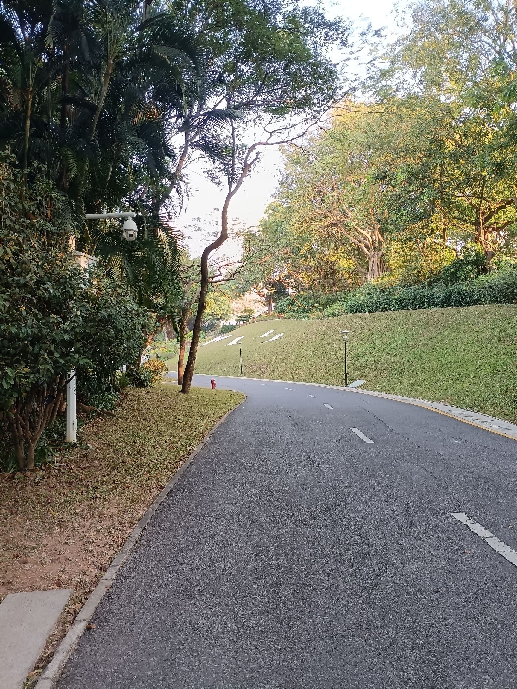 深圳国际园林花卉博览园旅行图片 3