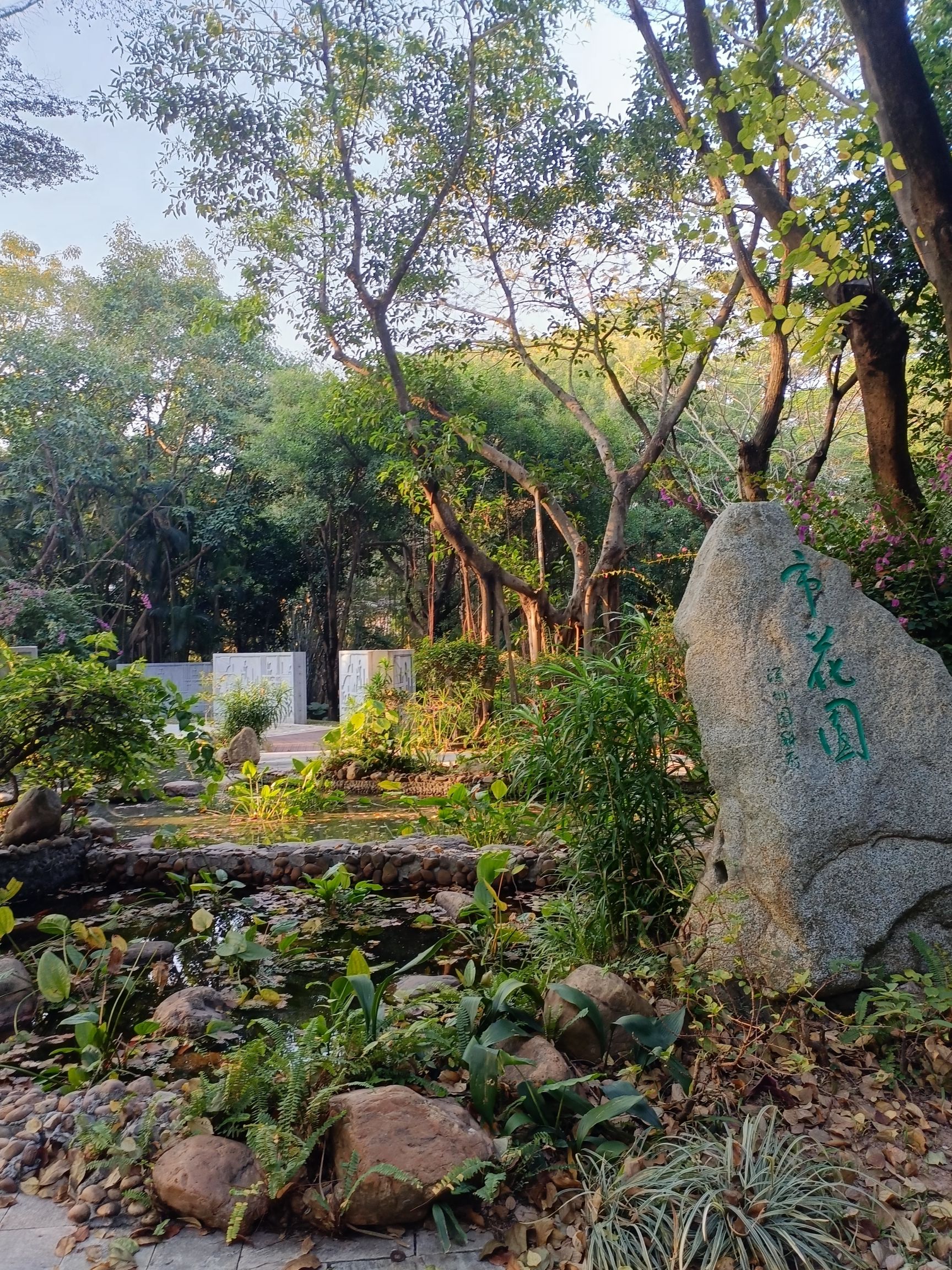 深圳国际园林花卉博览园旅行图片 2