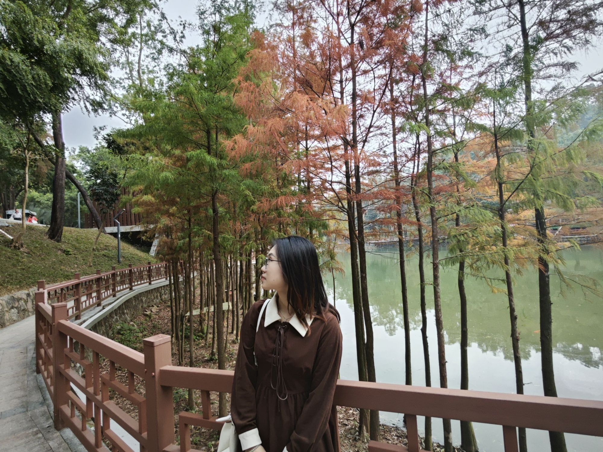 霞山公园旅行图片 1