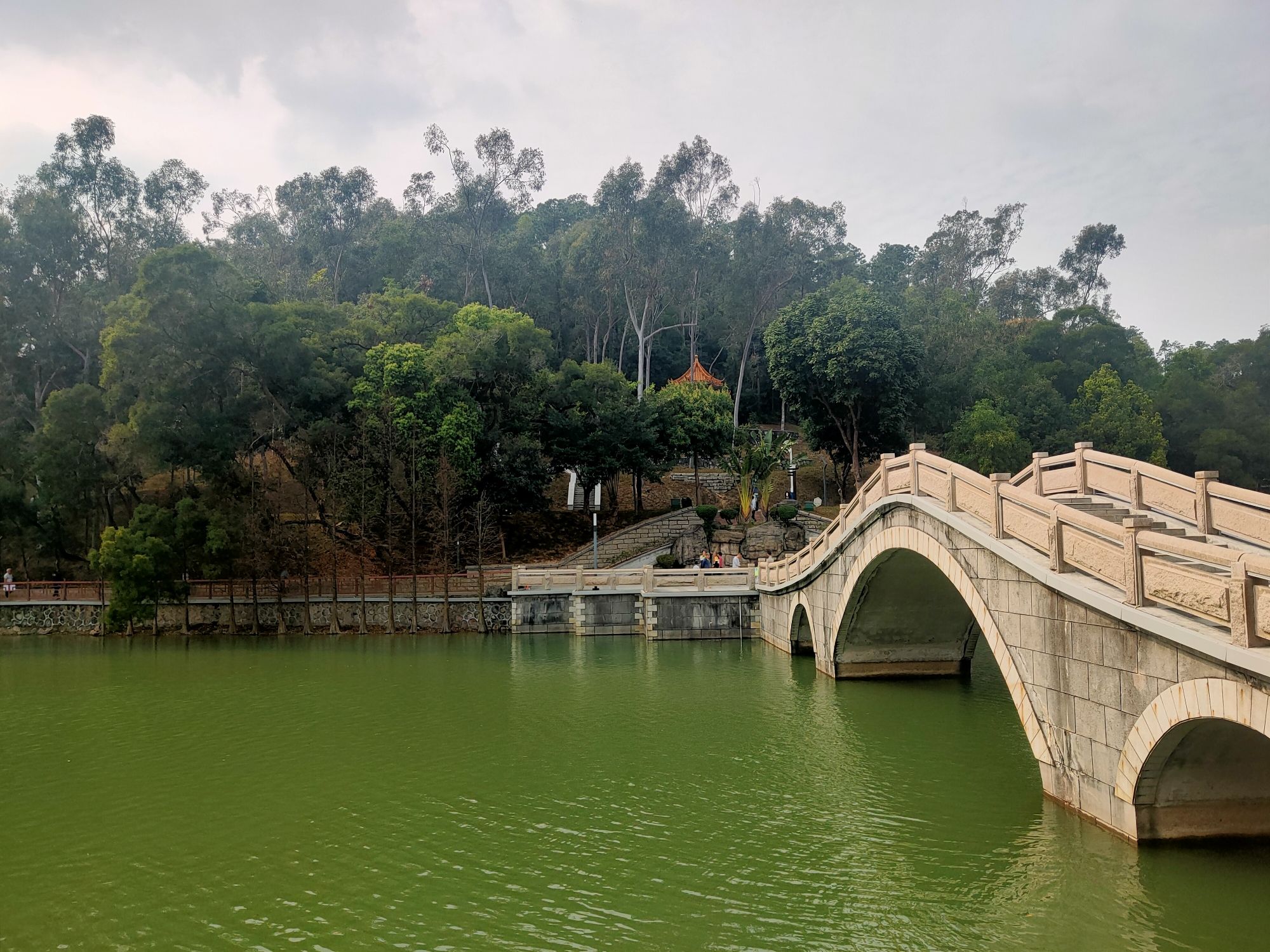 霞山公园旅行图片 3