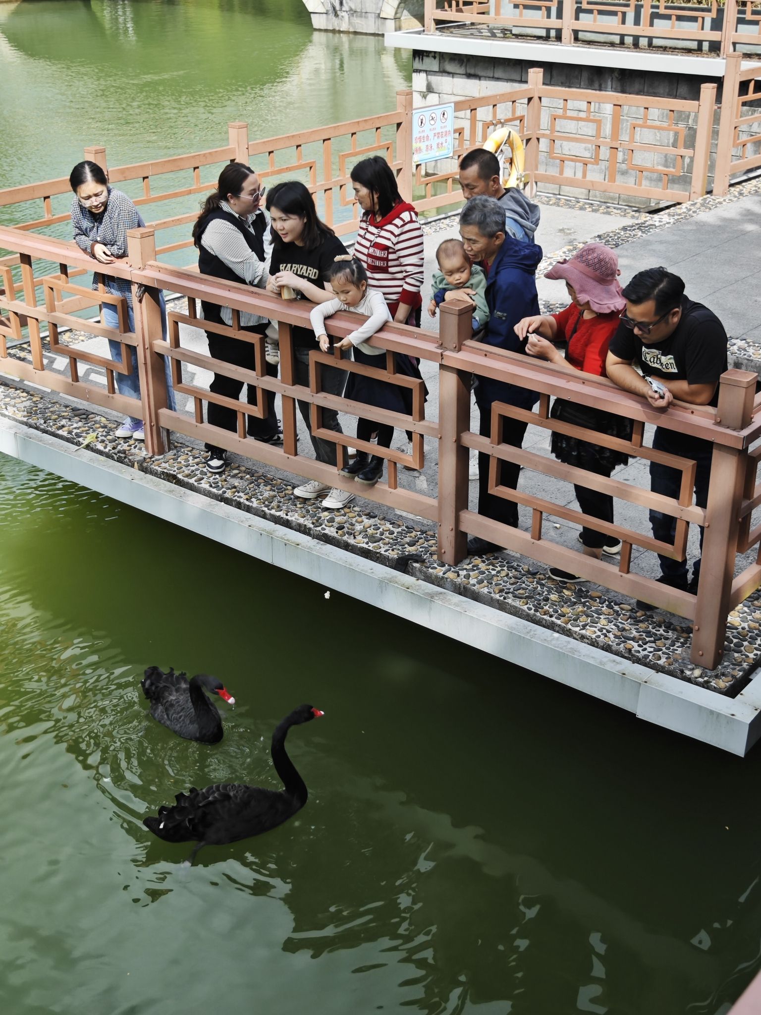 霞山公园旅行图片 2