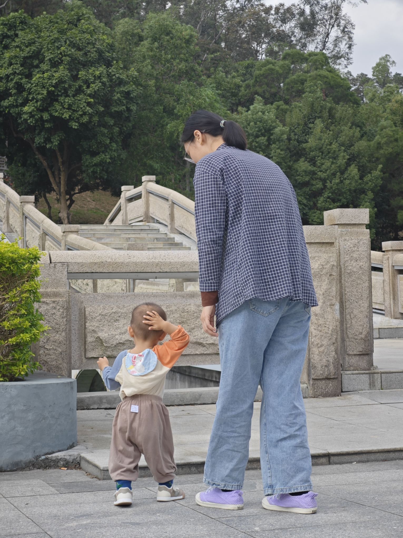 霞山公园旅行图片 3