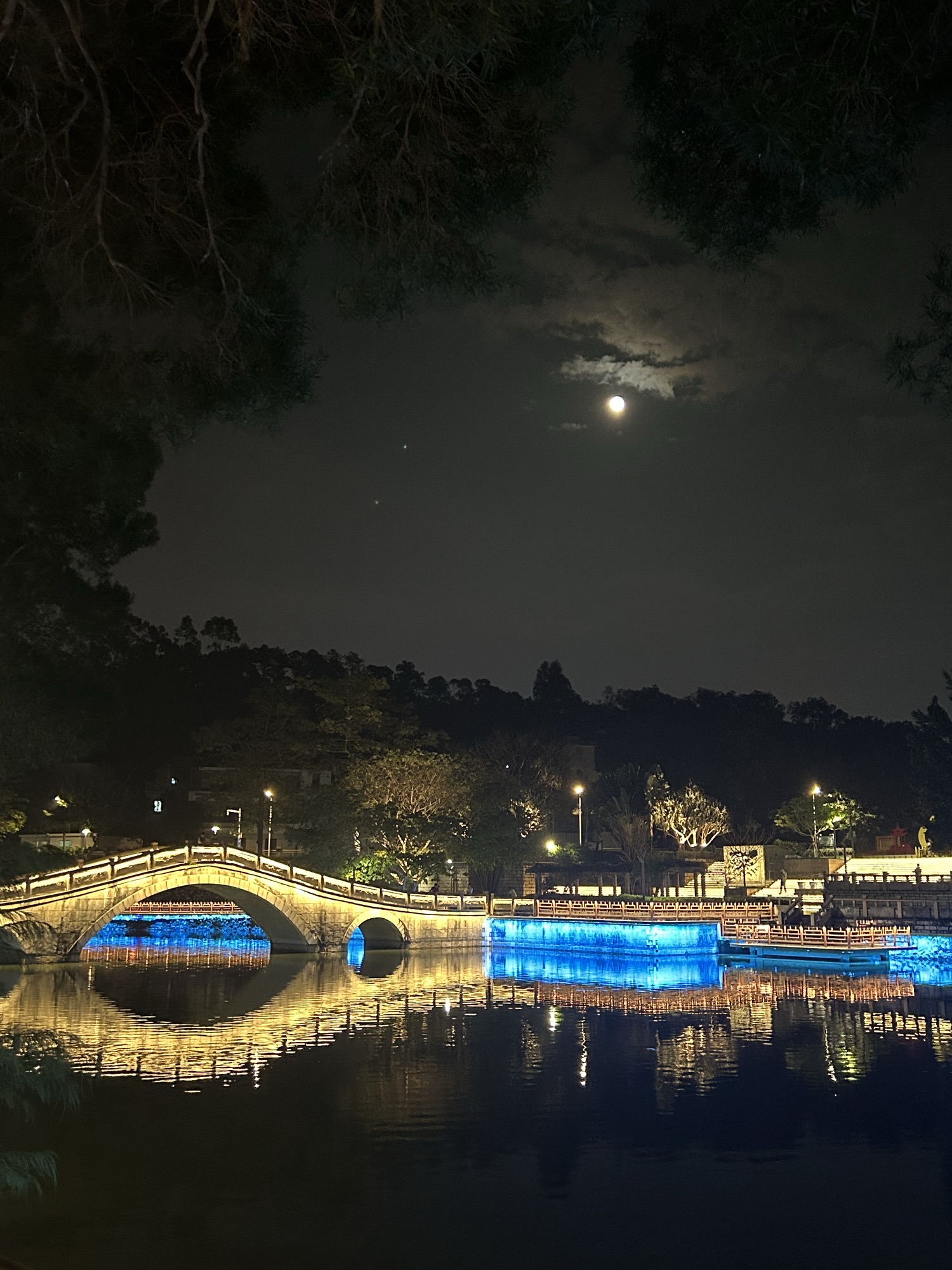 霞山公园旅行图片 2