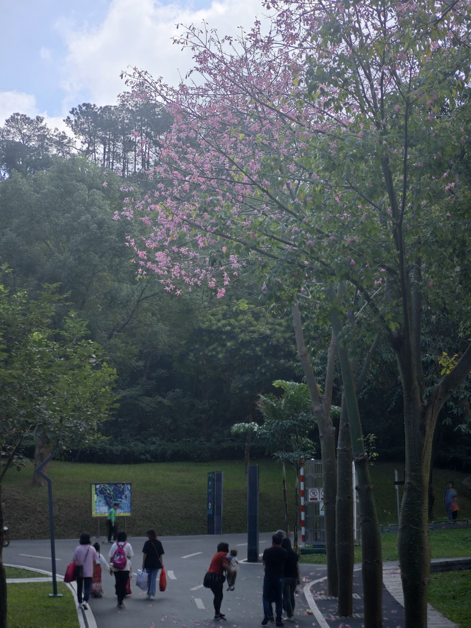霞山公园旅行图片 1