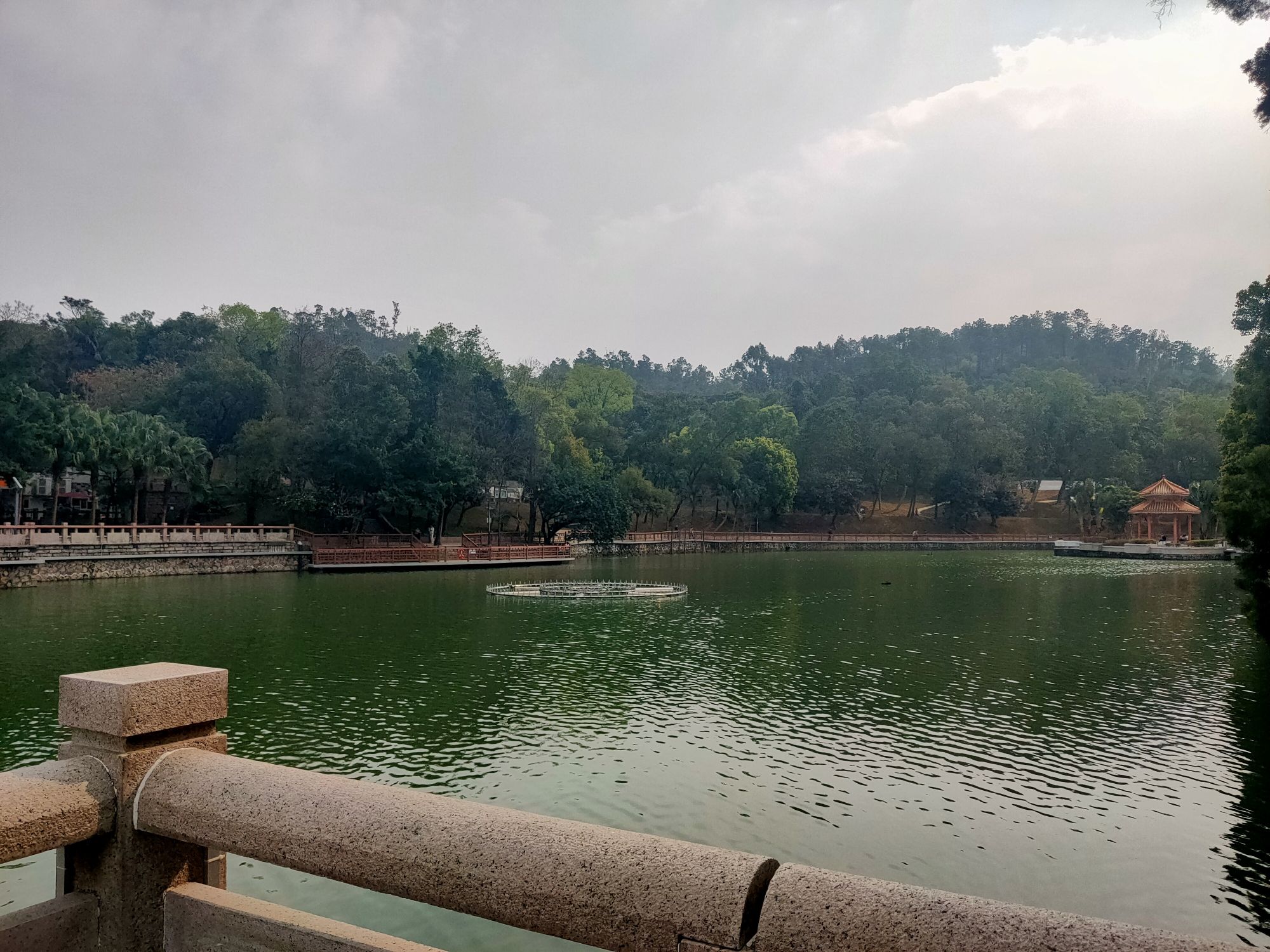 霞山公园旅行图片 2