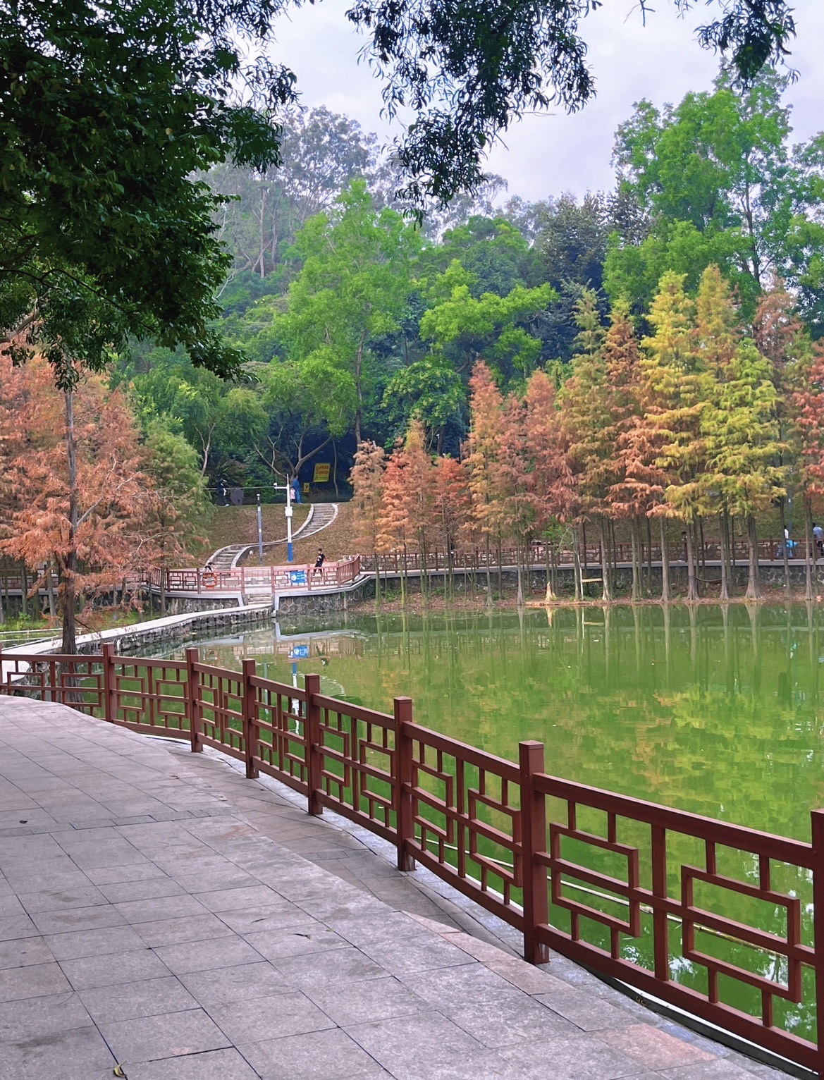霞山公园旅行图片 1