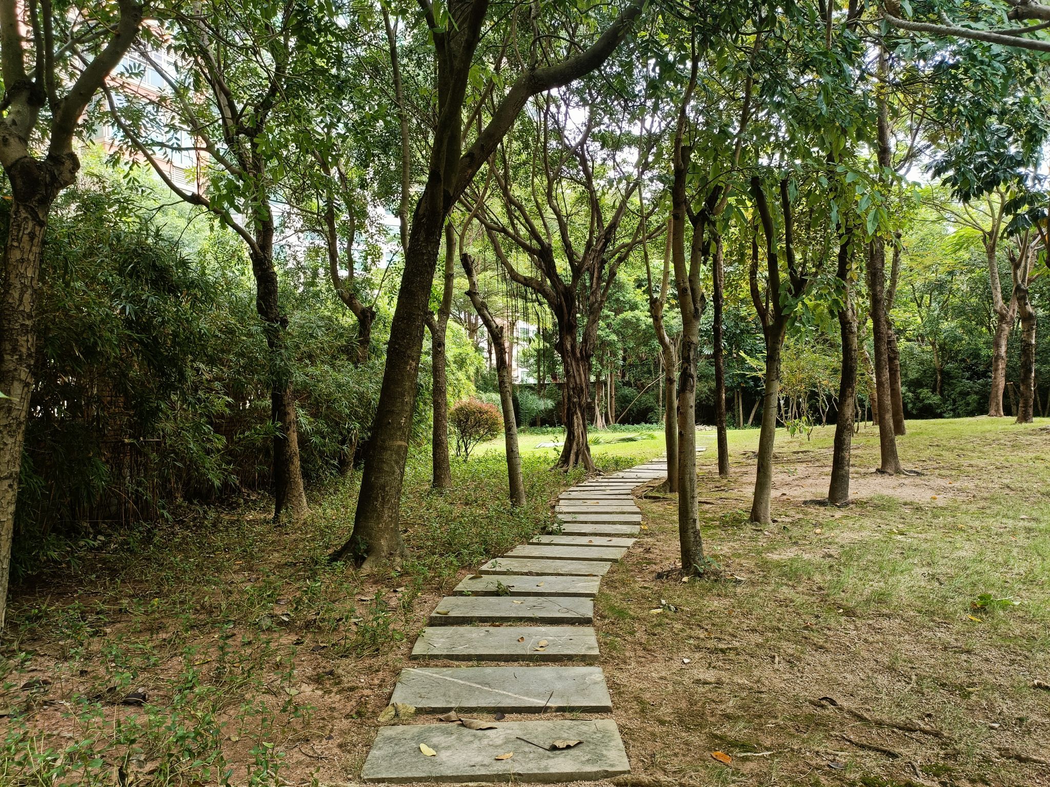 凤山公园旅行图片 2