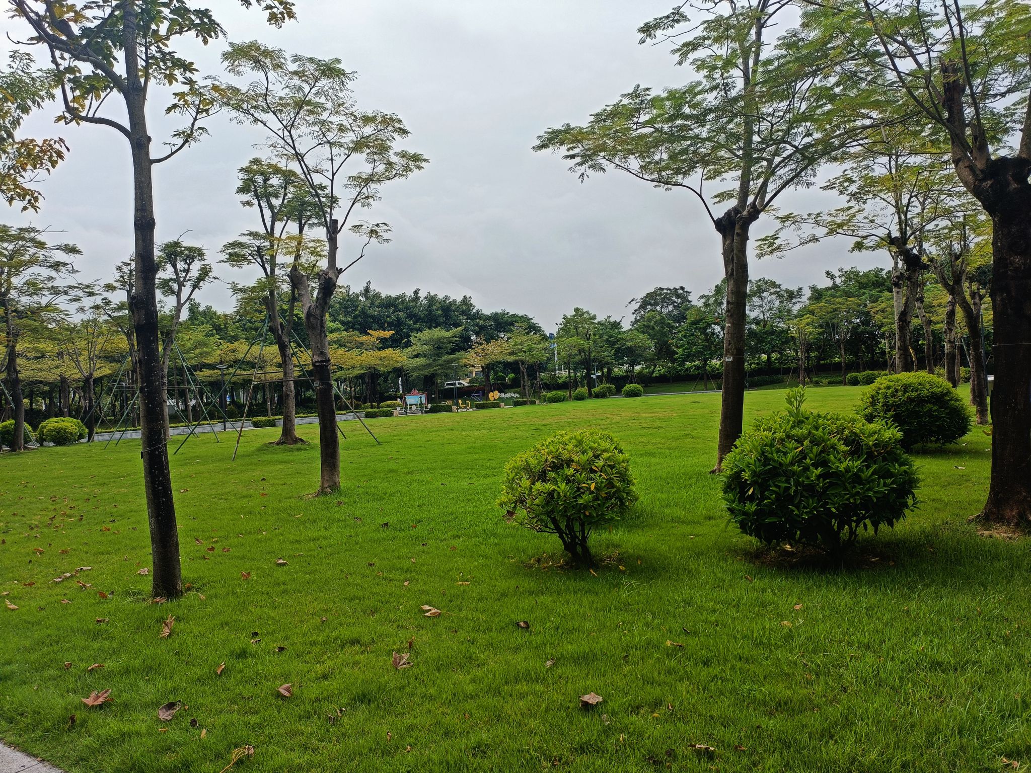 凤山公园旅行图片 1