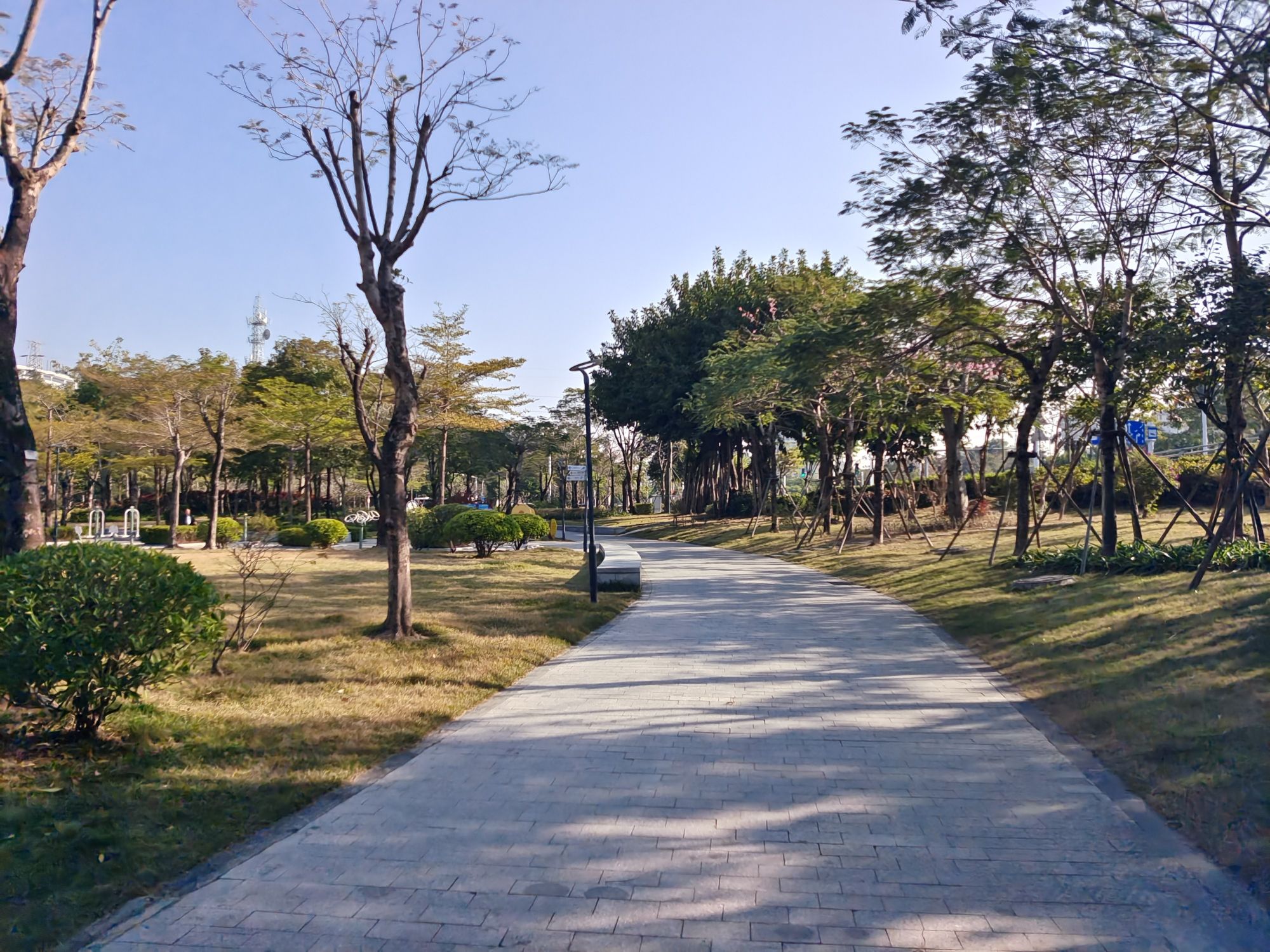 凤山公园旅行图片 3