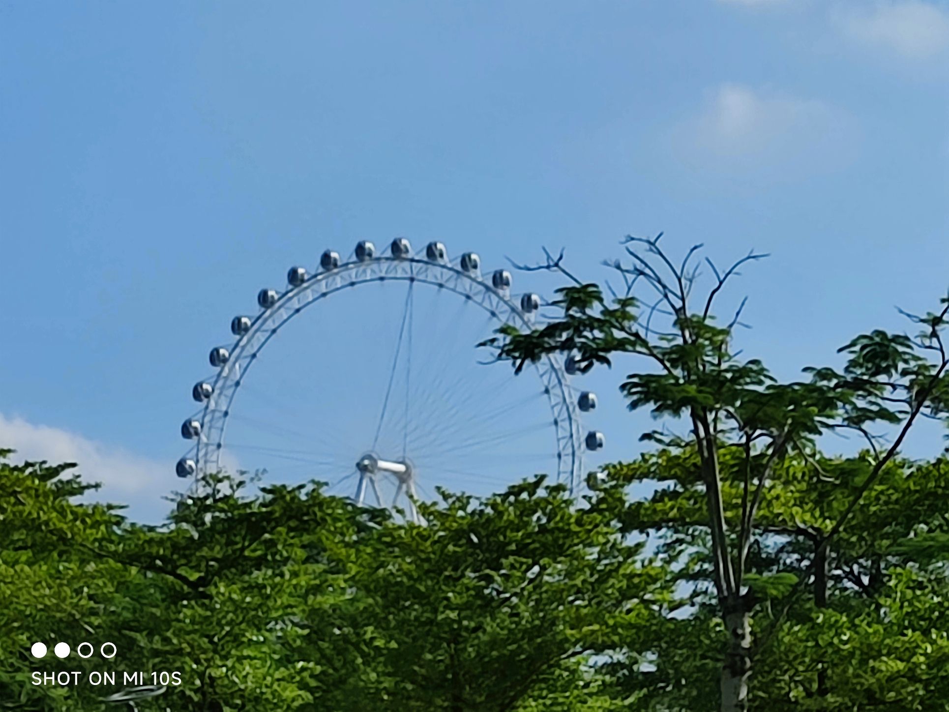 凤山公园旅行图片 3