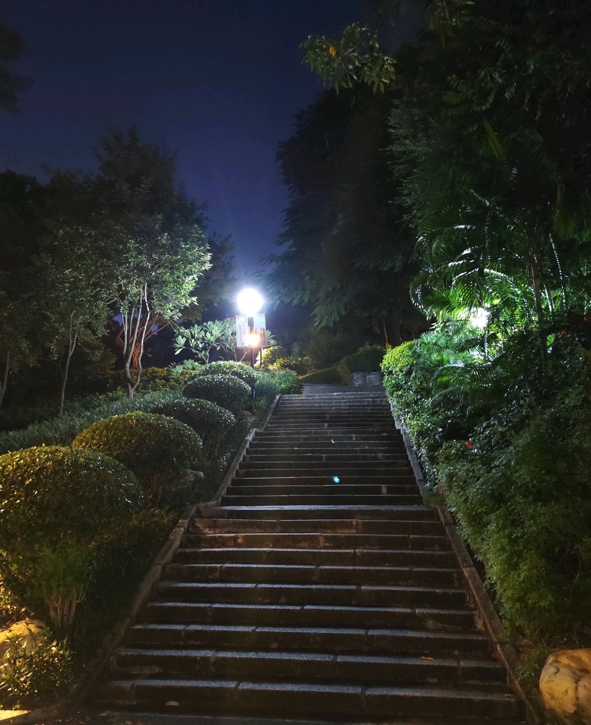 炮台山公园旅行图片 3
