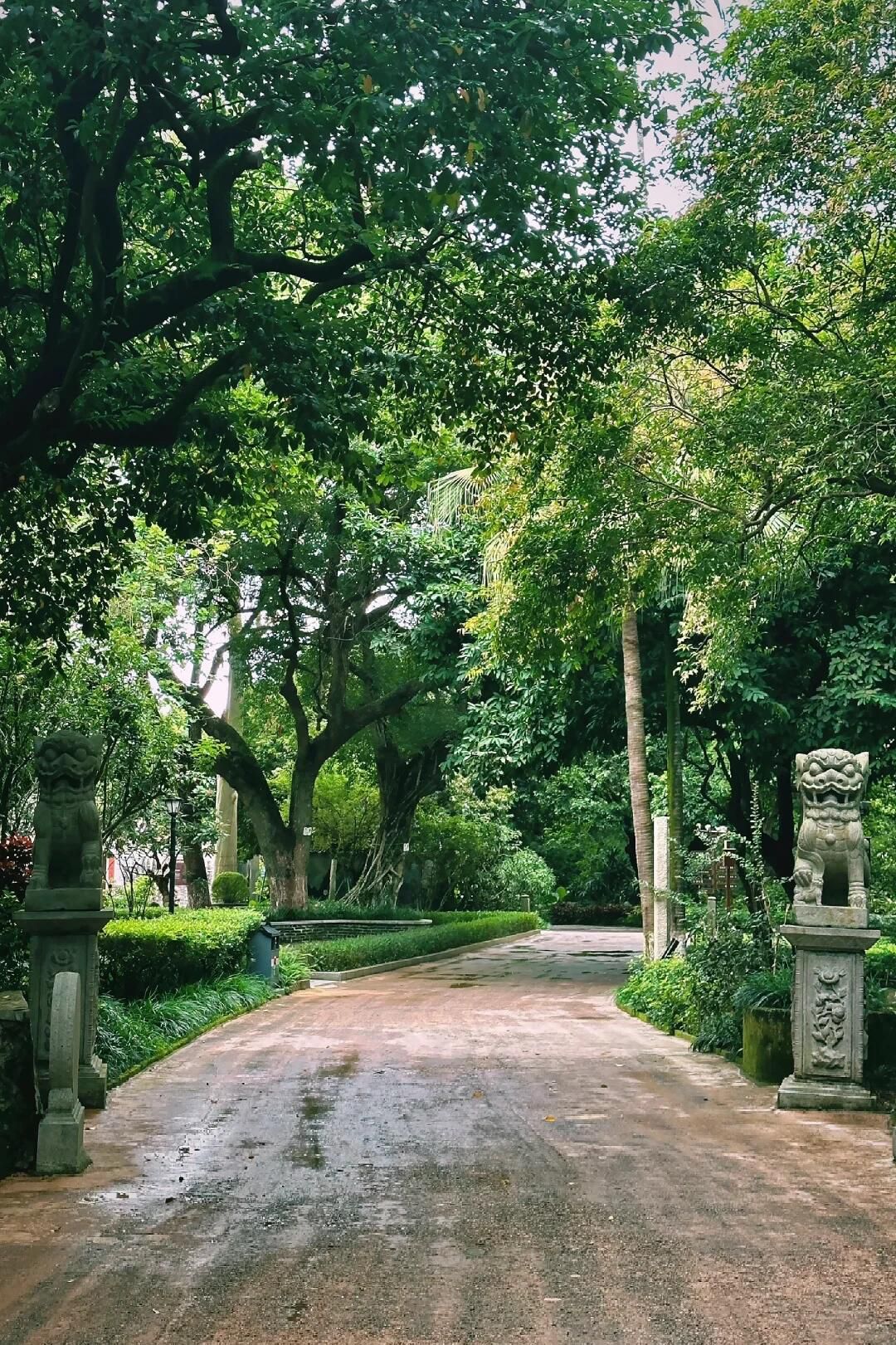 共乐园旅行图片 1
