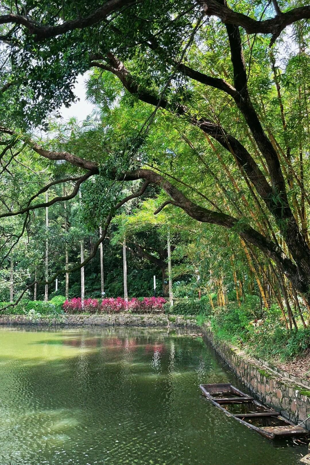 共乐园旅行图片 2