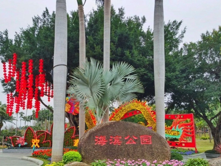 海滨公园现场照片 4