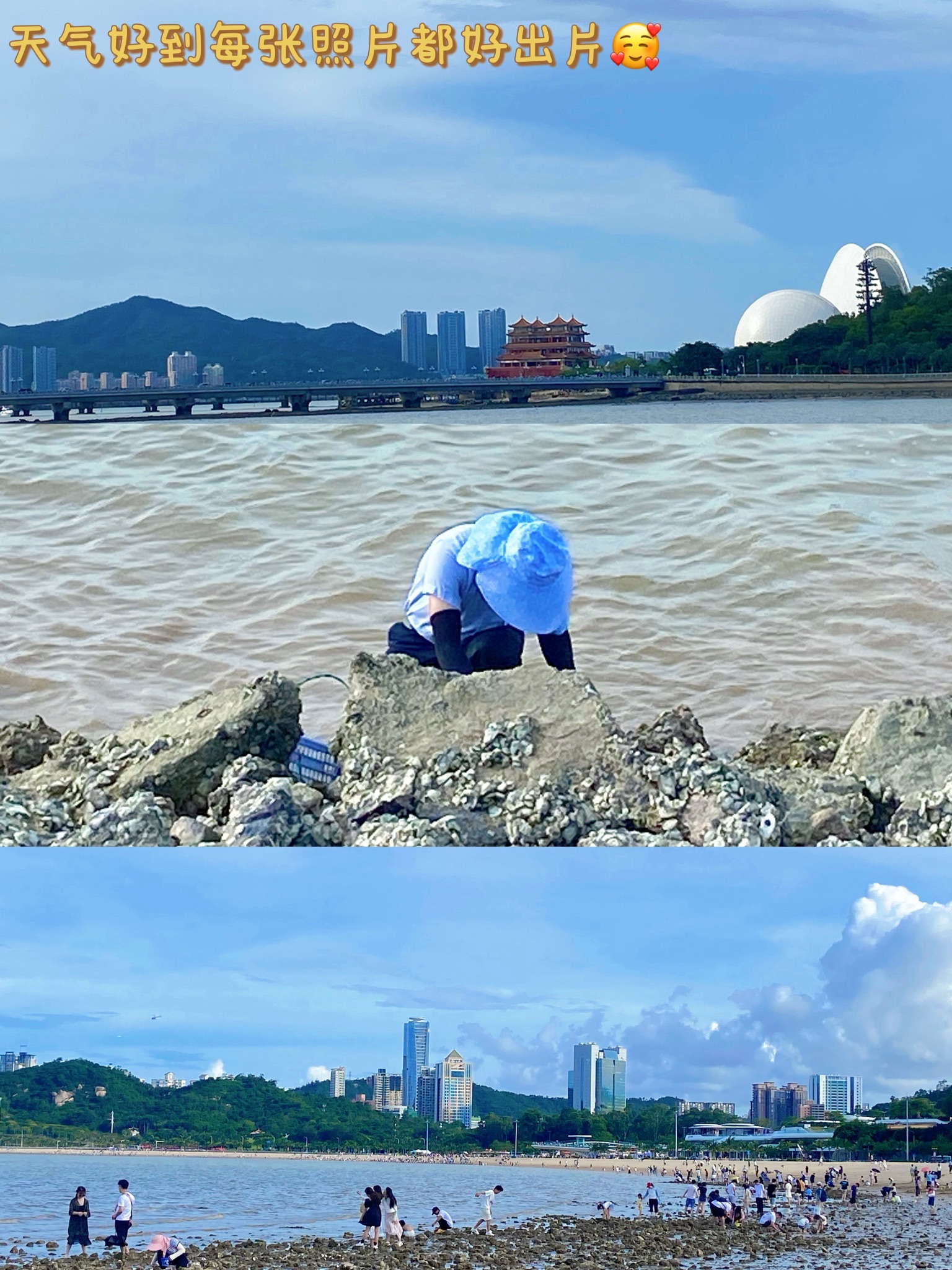 海滨公园旅行图片 2