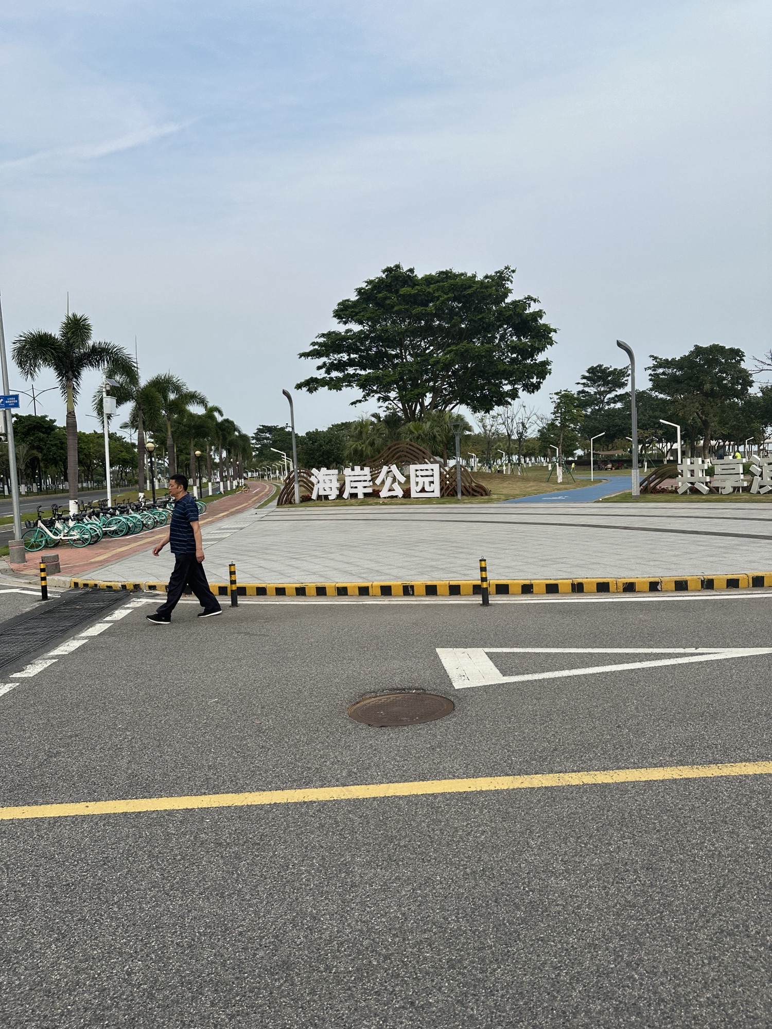 海滨公园旅行图片 2