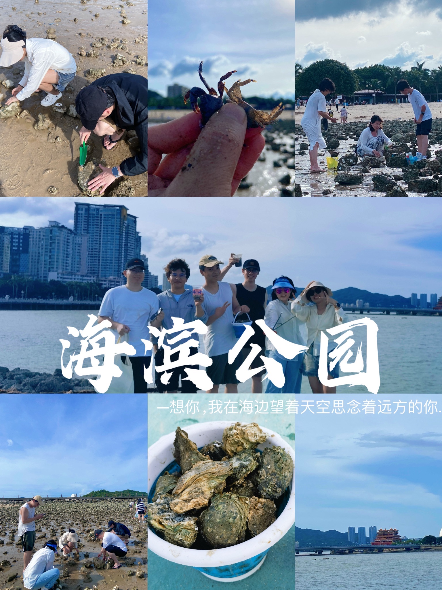 海滨公园旅行图片 1