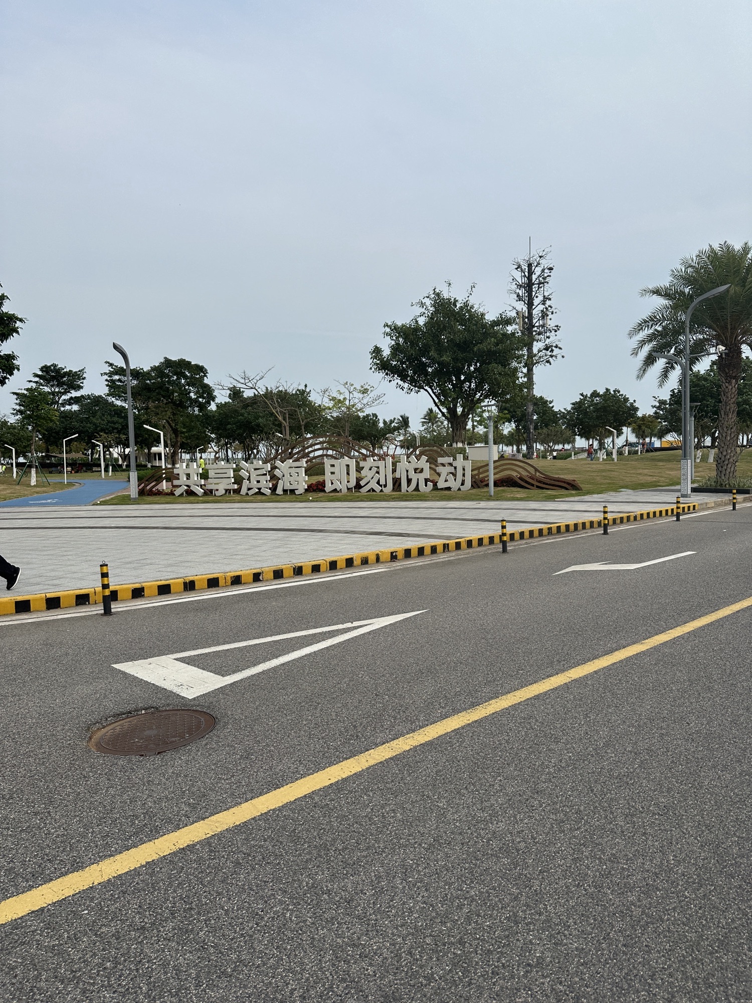 海滨公园旅行图片 1