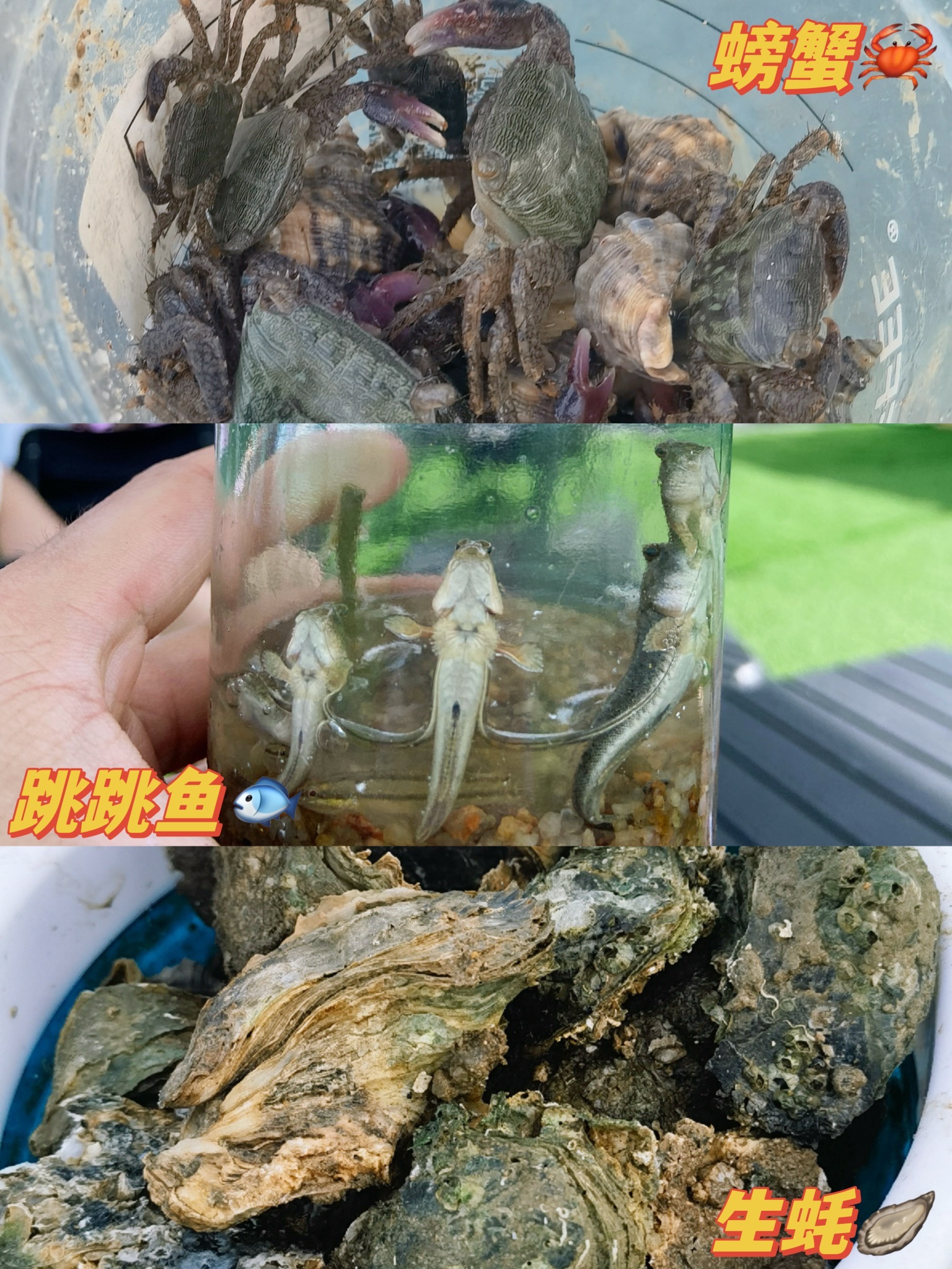海滨公园旅行图片 3