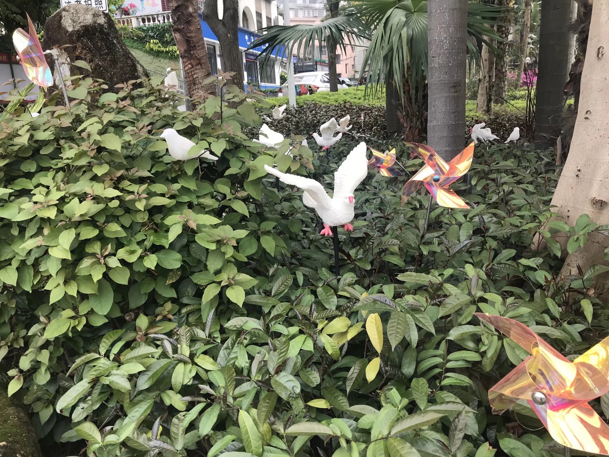 望海亭旅行图片 2