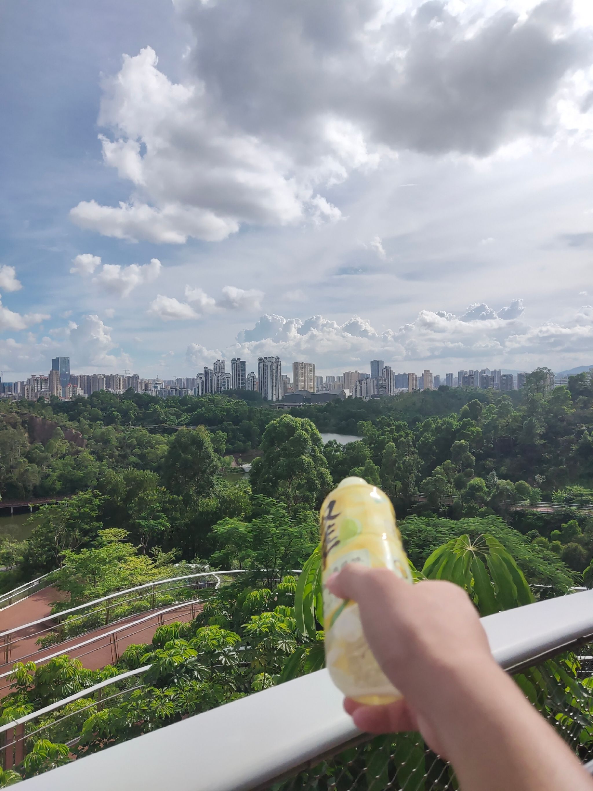 相思瀑布旅行图片 2