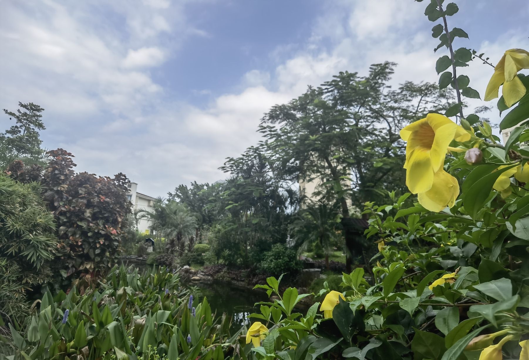 相思瀑布旅行图片 3