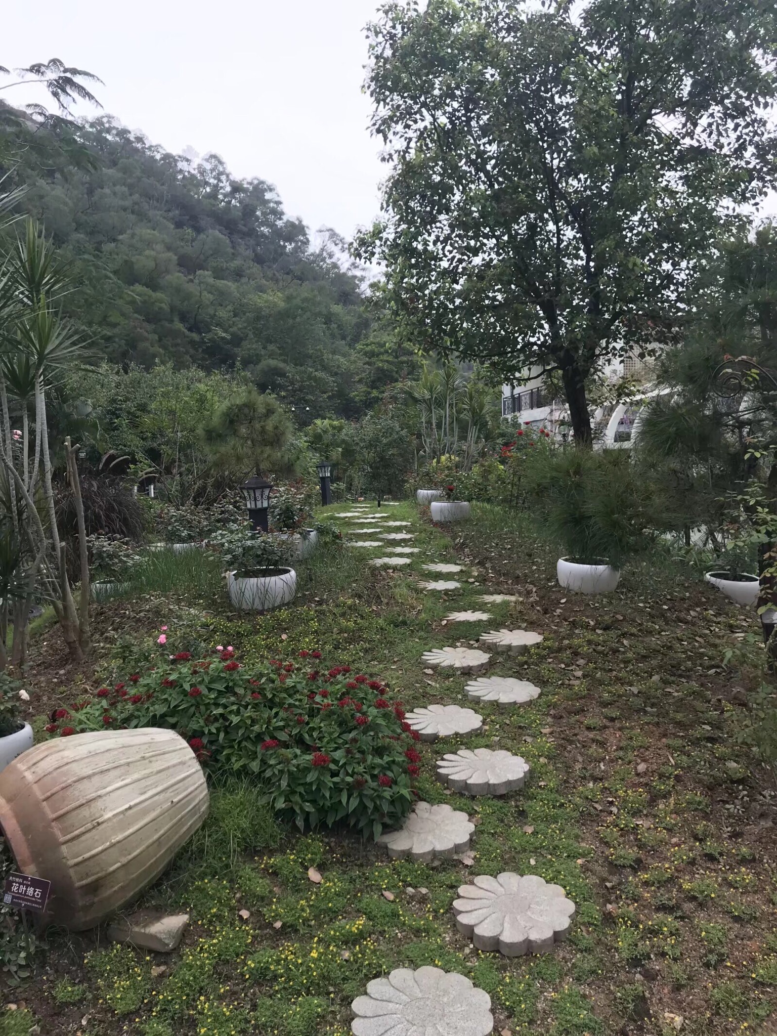 相思瀑布旅行图片 3