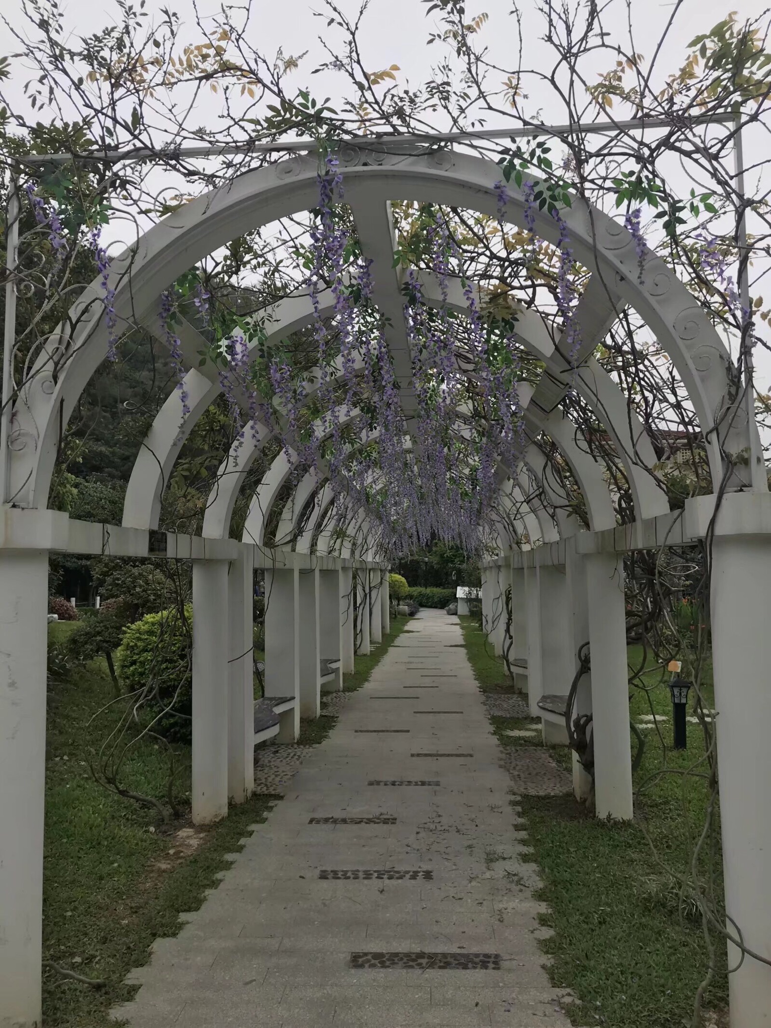 相思瀑布旅行图片 2