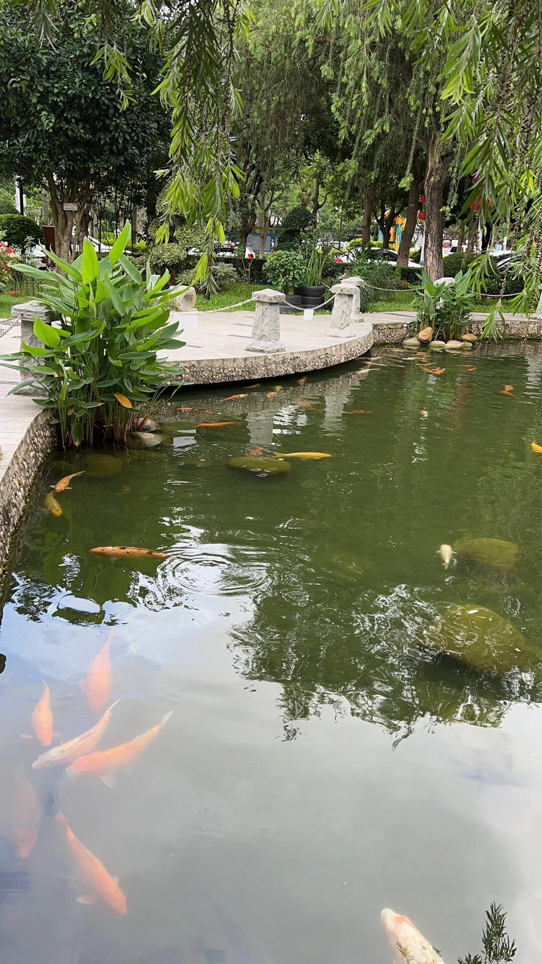 相思瀑布旅行图片 3