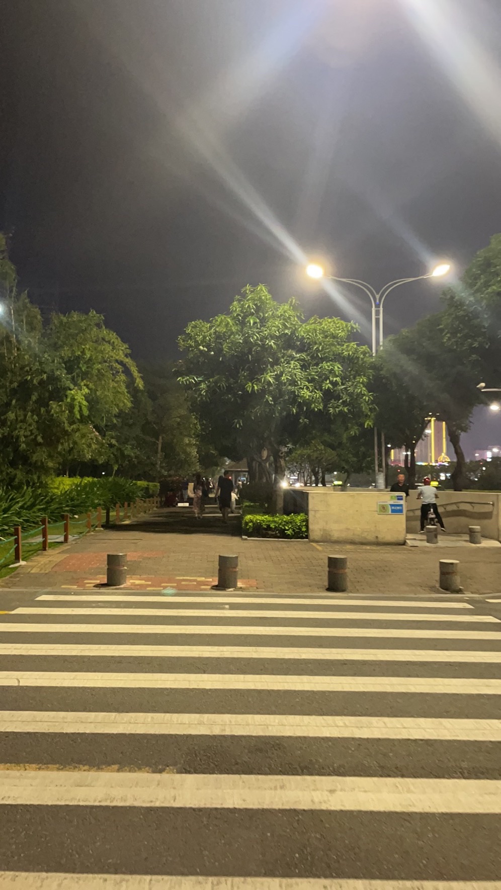 香洲广场旅行图片 3