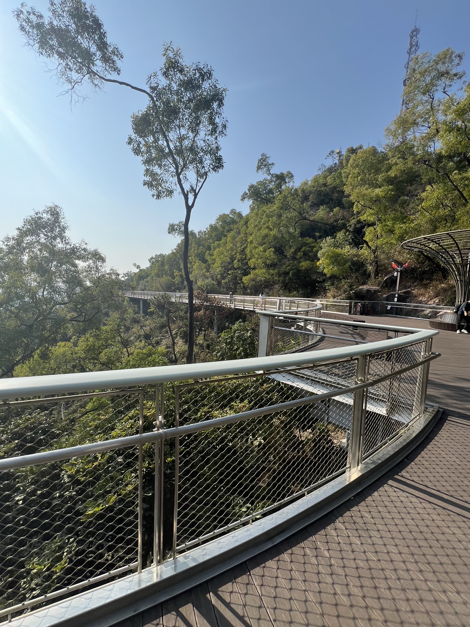 板樟山森林公园旅行图片 1