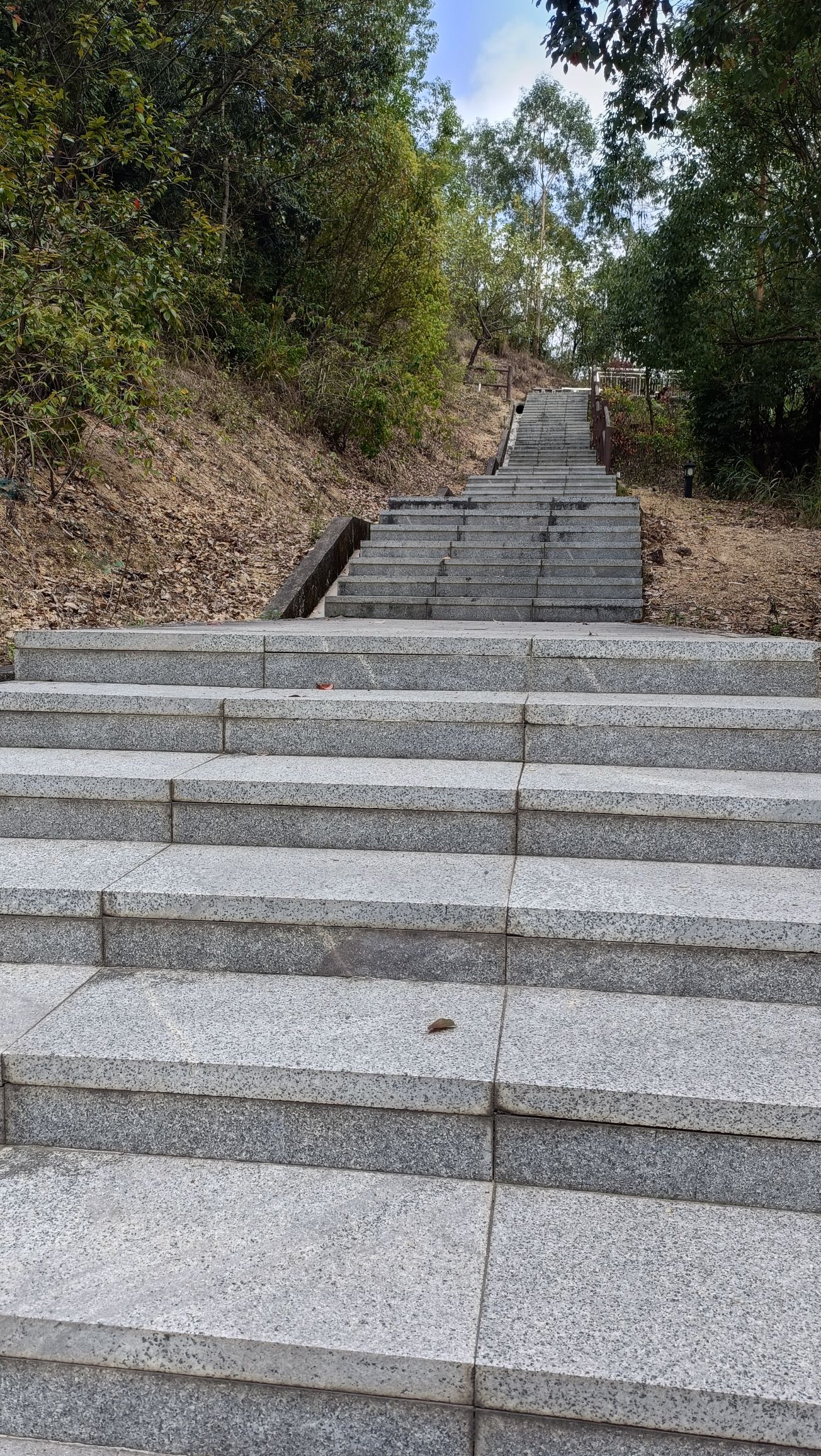 板樟山森林公园旅行图片 3