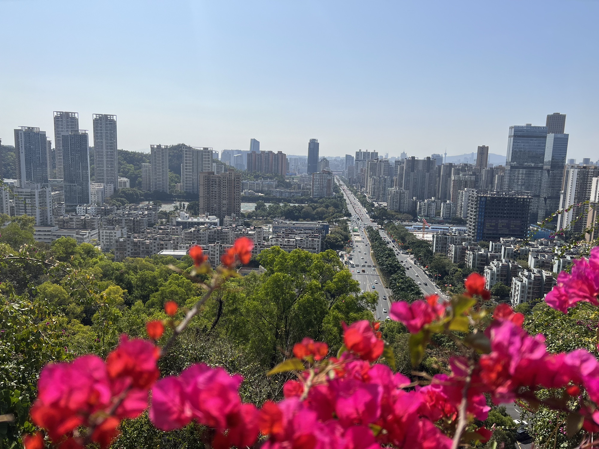 板樟山森林公园旅行图片 3
