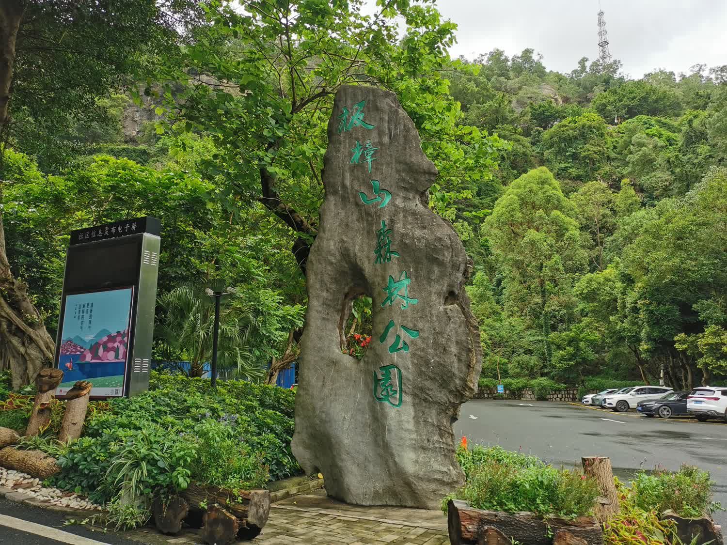 板樟山森林公园旅行图片 2