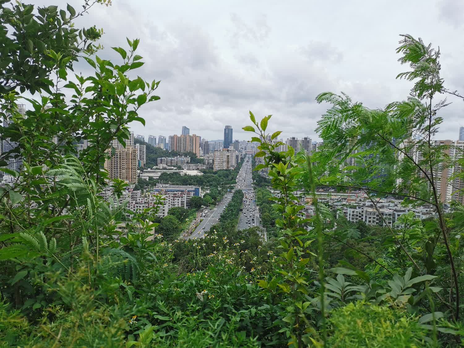 板樟山森林公园旅行图片 3