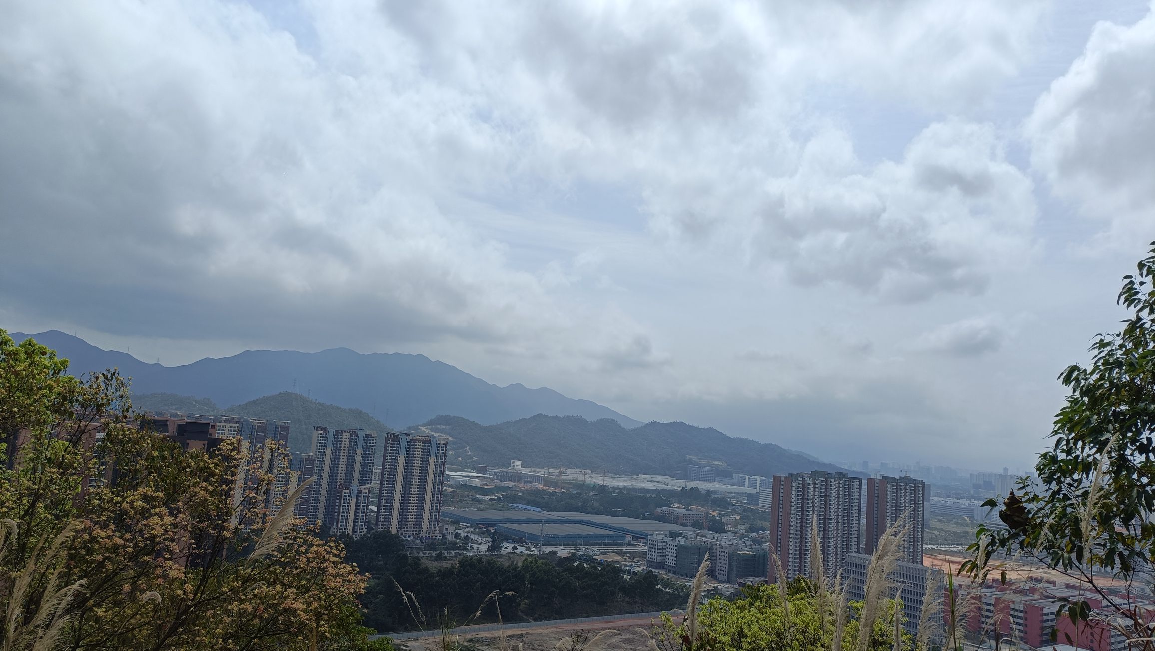 板樟山森林公园旅行图片 2