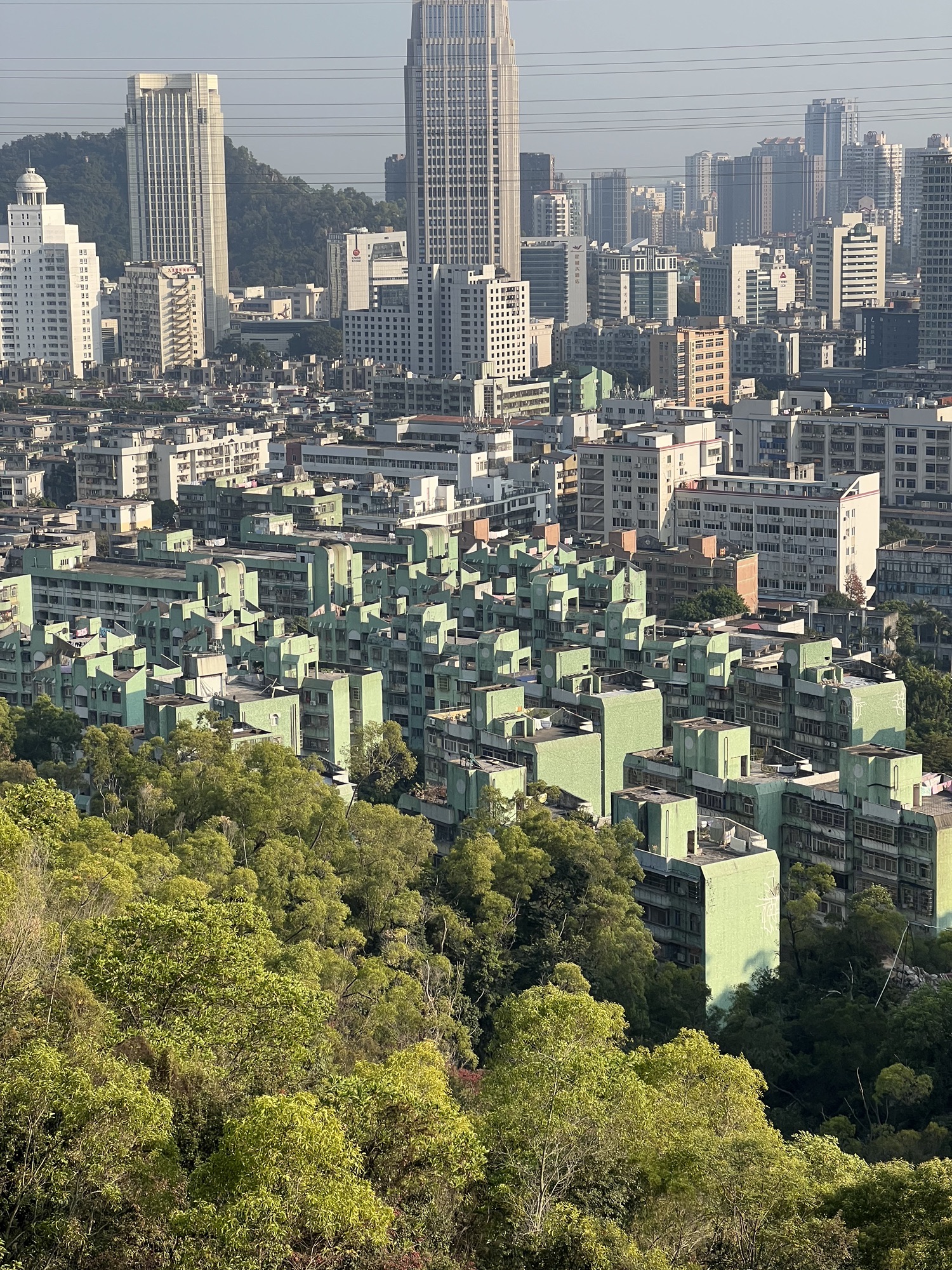 板樟山森林公园旅行图片 3