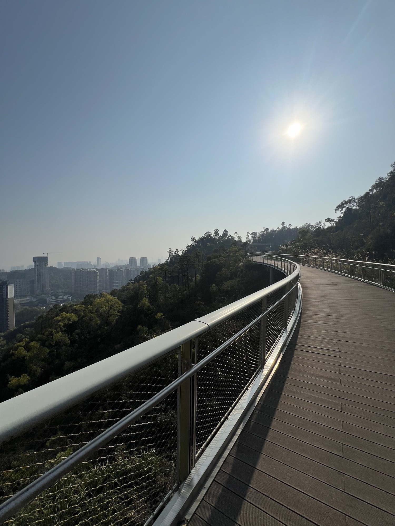 板樟山森林公园旅行图片 2