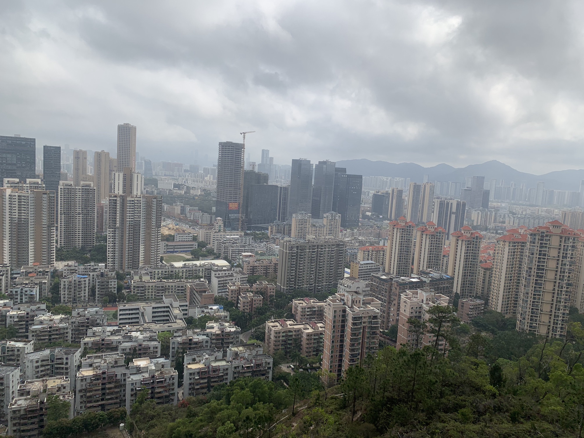 板樟山森林公园旅行图片 2